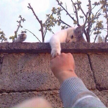 Абусупьян Хархаров